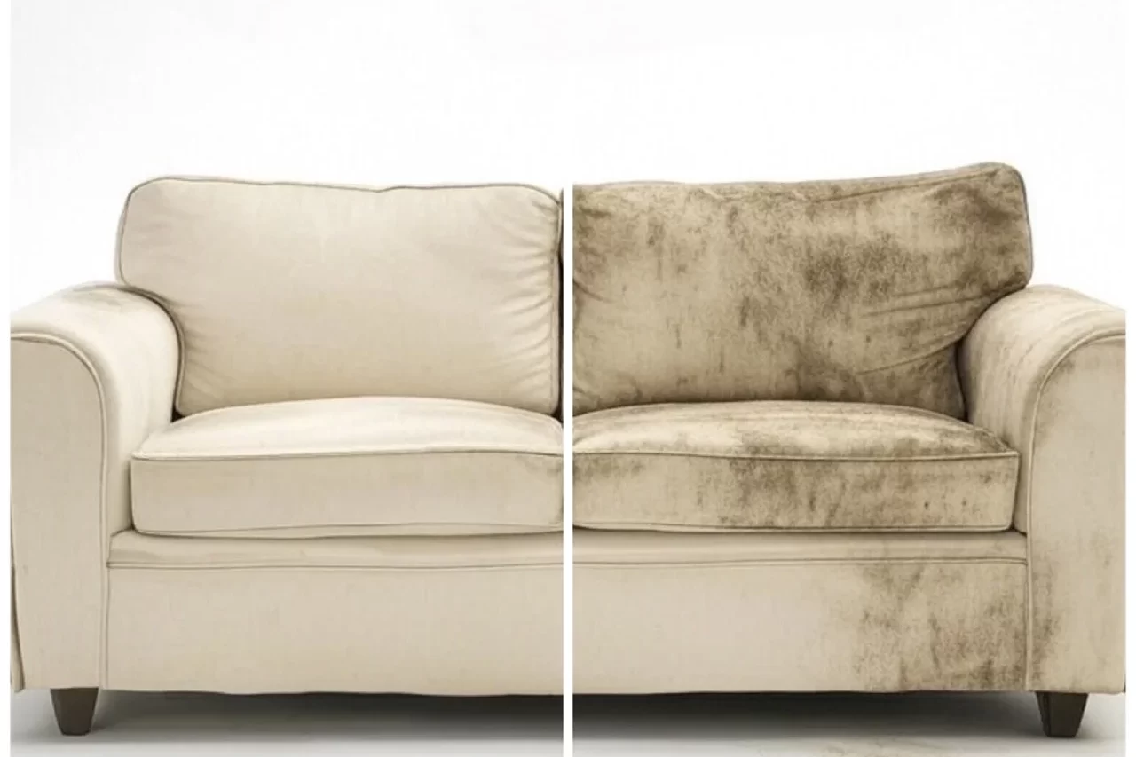 couch cleaners near me